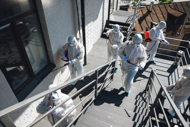 Best Mold Remediation for Healthcare Facilities  in Lakeport, CA